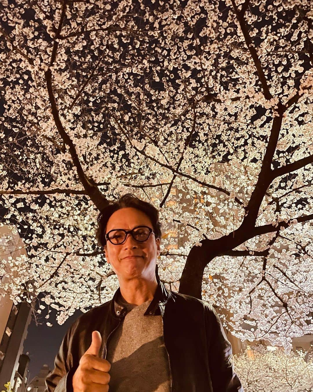 椎名桔平のインスタグラム：「#wbc おめでとうございます！^_^ #spring  #cherryblossoms #fullbloom 雨だけど、まだ散らないでよ〜」