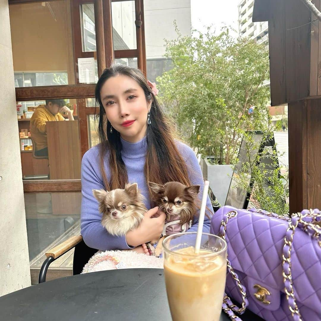 fashion dog loverさんのインスタグラム写真 - (fashion dog loverInstagram)「#lunch 😋  #fashion #fashionblogger #fashionista #fashionstyle #fashionable #fashionphotography #fashiongram #fashionnova #fashionlover #fashionpost #fashioninspo #ootd #ootdfashion #outfitoftheday #outfit #outfits #zara #chanel #chihuahua #chihuahualife #dog #チワワ#チワワ大好き #ちわわ #ちわすたぐらむ #ファッション #ファッションコーデ #ザラ#ザラ購入品」3月24日 0時59分 - chihuahuanyan