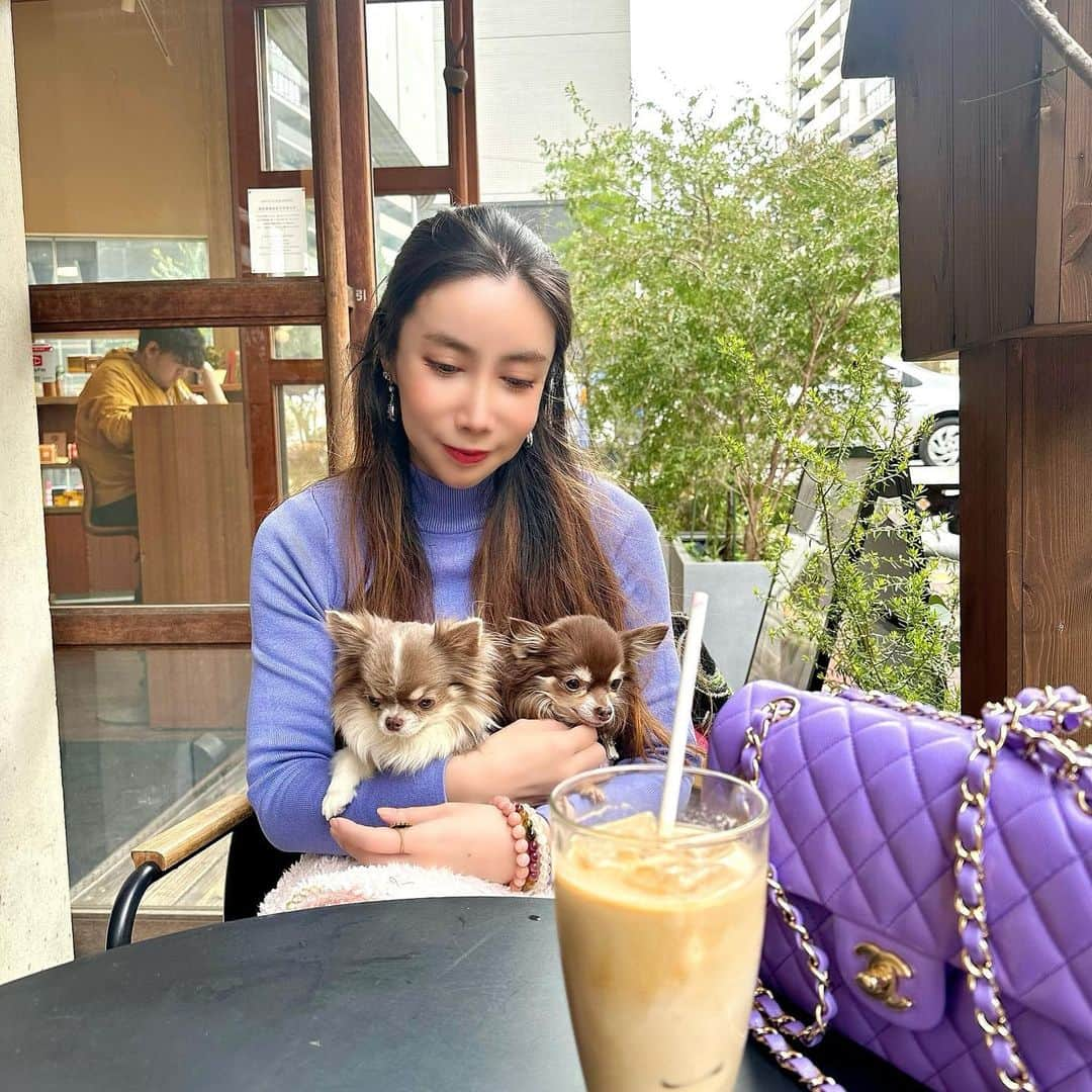 fashion dog loverさんのインスタグラム写真 - (fashion dog loverInstagram)「#lunch 😋  #fashion #fashionblogger #fashionista #fashionstyle #fashionable #fashionphotography #fashiongram #fashionnova #fashionlover #fashionpost #fashioninspo #ootd #ootdfashion #outfitoftheday #outfit #outfits #zara #chanel #chihuahua #chihuahualife #dog #チワワ#チワワ大好き #ちわわ #ちわすたぐらむ #ファッション #ファッションコーデ #ザラ#ザラ購入品」3月24日 0時59分 - chihuahuanyan