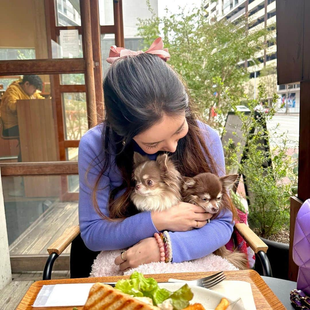 fashion dog loverさんのインスタグラム写真 - (fashion dog loverInstagram)「#lunch 😋  #fashion #fashionblogger #fashionista #fashionstyle #fashionable #fashionphotography #fashiongram #fashionnova #fashionlover #fashionpost #fashioninspo #ootd #ootdfashion #outfitoftheday #outfit #outfits #zara #chanel #chihuahua #chihuahualife #dog #チワワ#チワワ大好き #ちわわ #ちわすたぐらむ #ファッション #ファッションコーデ #ザラ#ザラ購入品」3月24日 0時59分 - chihuahuanyan