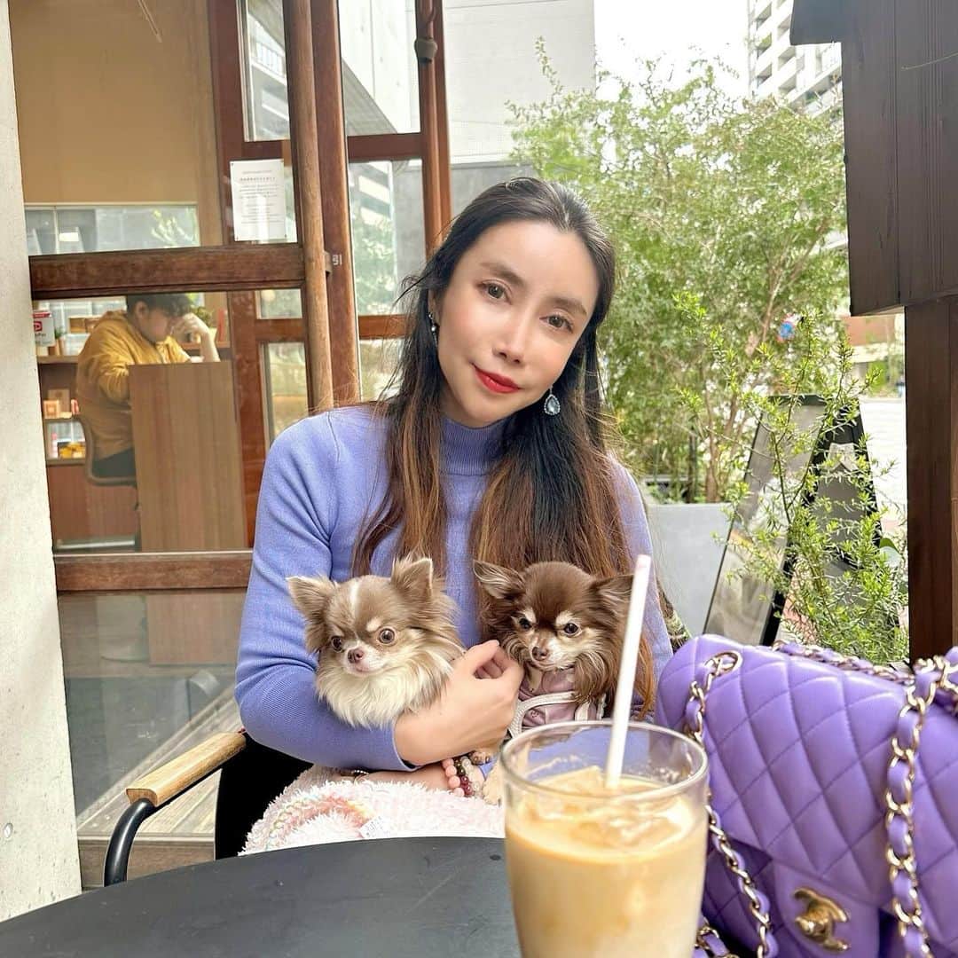 fashion dog loverのインスタグラム