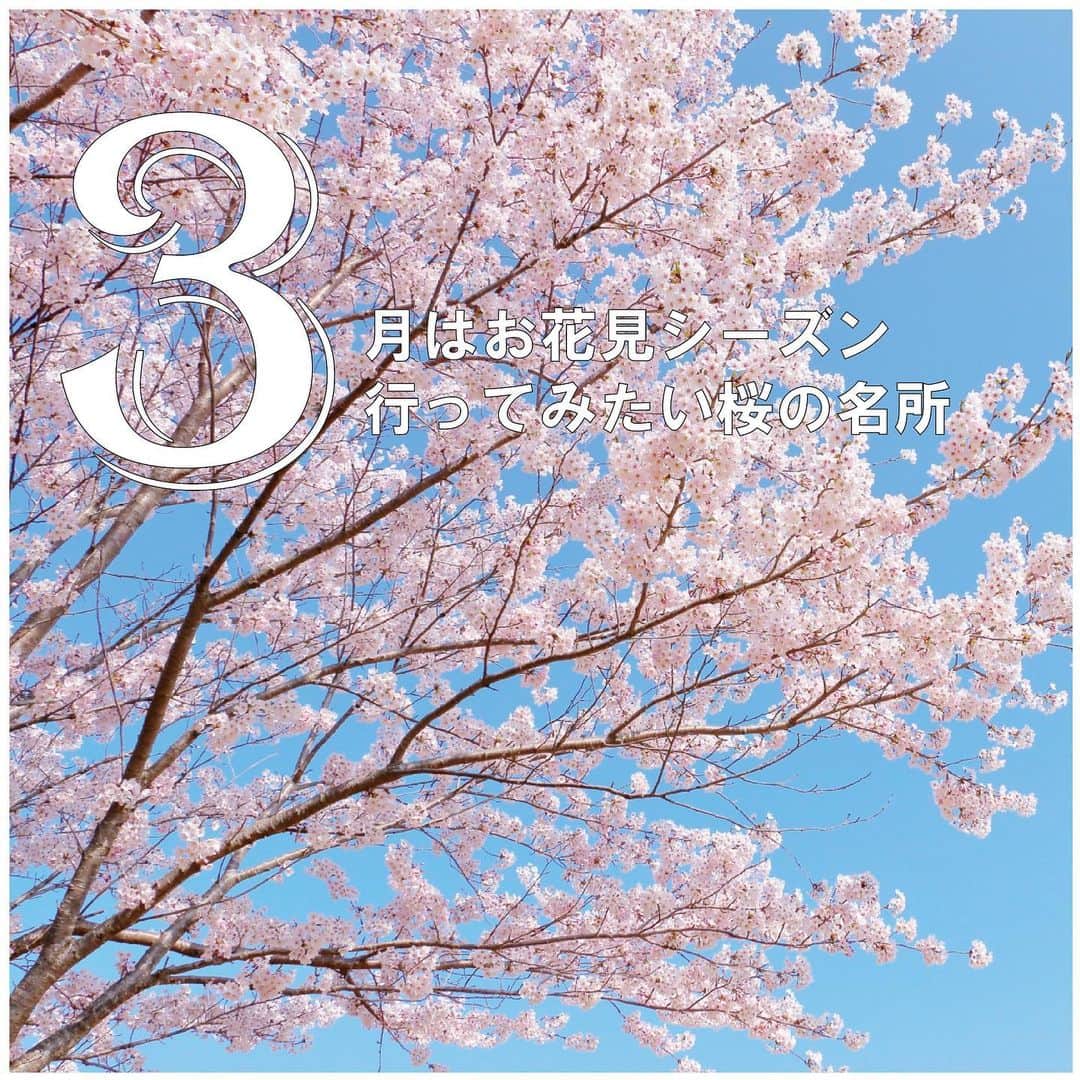 レオパリスくんさんのインスタグラム写真 - (レオパリスくんInstagram)「.  今年も桜の季節がやってきました！ 14日には全国で一番早く東京で開花発表がありましたね 例年よりも早くみなさんに会いたかったのでしょうか🌸  お花見を企画している人も多いのではないでしょうか🍺 そこで今回は桜の名所をご紹介します！  🍡二十間道路桜並木🍡 ~北海道日高郡~  日本の道100選にも選ばれている桜名所 まっすぐに延びる約7kmの道沿いに 2,000本以上の桜並木が続く、 新ひだか町にある二十間道路。  🍡上野恩賜公園🍡 ~東京都台東区~  古くから知られる東京屈指の花見の名所 江戸時代初期に寛永寺を創建した天海僧正が、 奈良の吉野山から桜を移植したのが始まりといわれ、 現在はソメイヨシノを中心に 公園一帯には約1,200本の桜が咲きます  🍡宮島🍡 ～広島県廿日市市～  日本三景のひとつ安芸の宮島を彩る桜風景 ソメイヨシノを中心に約1,900本の桜が開花し、 例年4月初旬前後に満開時期を迎えます  全国各地、満開予想日が来週に集中しているので お花見やお散歩しながら眺めてみてはいかがでしょうか また1つ日本の四季を感じることができますよ🗾  最後にレオパレスにある桜の名所をご紹介します！  💐🎓　💐👨‍　💐🎓　💐👩‍　💐🎓  \おススメ対応物件/ 🏡レオパレスカーサ桜井町   住所:高知県高知市桜井町1-3-15 　　　 (土佐電気鉄道後免線 菜園場町 徒歩5分) 　  特徴：敷金不要/家具家電付/浴室換気乾燥機付 　 ◎詳細URL：https://tinyurl.com/2pgzurzs  ↓↓お問い合わせは\レオパレスセンター高知/まで↓↓ 　TEL：050-2016-2248 　住所：高知県高知市駅前町5-5 　　　　大同生命高知ビル1Ｆ 　営業時間：10時‐18時 　◎店舗URL：https://tinyurl.com/2g3fbls4  💐🎓　💐👨‍　💐🎓　💐👩‍　💐🎓  ＃レオパレス２１＃家具家電付き＃一人暮らし＃お部屋探し＃全国＃どこでも＃学生＃単身＃賃貸＃短期＃マンスリー＃オンライン＃ルームシェア＃留学 ＃sharedhouse#forrent#shorttermrental#monthlyrental #studyabroad#furnished#apartmenthunting」3月24日 10時53分 - leopalace21