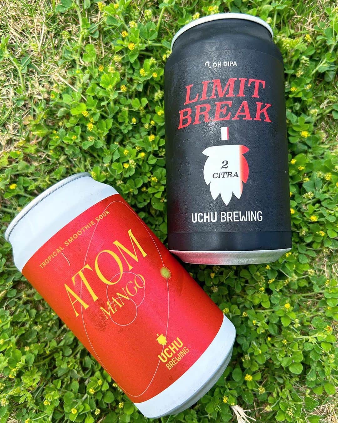のインスタグラム：「こんにちは🌞  エルロタ本日も12:00からオープンです。 うちゅうブルーイングのnew beerもあります〜 古宇利島らしい、トロピカルなビールです🍻🥭 最高に美味しいので是非お楽しみください！  Lunch time 12:00〜15:00  Cafe time 15:00〜16:00  Dinner time 18:30〜20:00(最終入店) close 22:00 (LO21:00)  本日も宜しくお願いします！！」