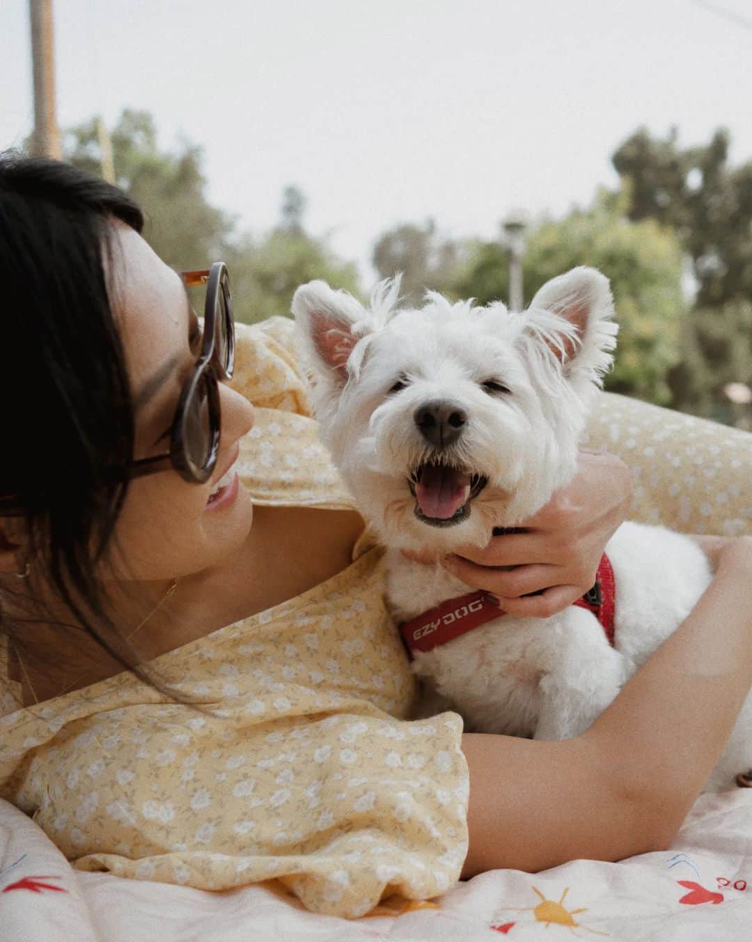 W E Y L I Eのインスタグラム：「See you later baby mouse 🐭😇  I said goodbye to my best friend of 17 years on Sunday 3/19/23. In exactly 2 months, she would've turned 18. I feared the day of saying goodbye and I'm still processing the pain of life without her and Michi. I know my heart will never be the same without my babies. Almost 18 years...more than half of my life was spent with my Mousey. I was only 12 years old when she came into my life and I'm turning 30 next week. As I said my goodbyes, I kept repeating thank you  thank you thank you as I kissed her little head. I feel so much gratitude towards her for teaching me everything and being by my side when it felt like no one else was there.   Money, you're forever my soul dog. I will live everyday of my life missing you, thinking of you, and loving you. The life lessons you've taught me and the memories we shared are going to last me a lifetime. I will always wish we had more time, but I know our time together will always live on in my heart. You are my family, my first child, my bestest friend. I love you so much 🐭❤️」