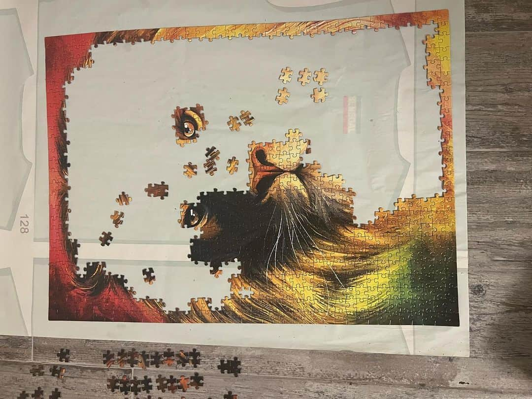 ポリーナ・ラヒモワさんのインスタグラム写真 - (ポリーナ・ラヒモワInstagram)「Mister Lion 🦁 5 days long #lion #puzzle #lover #aksaray」3月24日 5時20分 - polina_rahimova