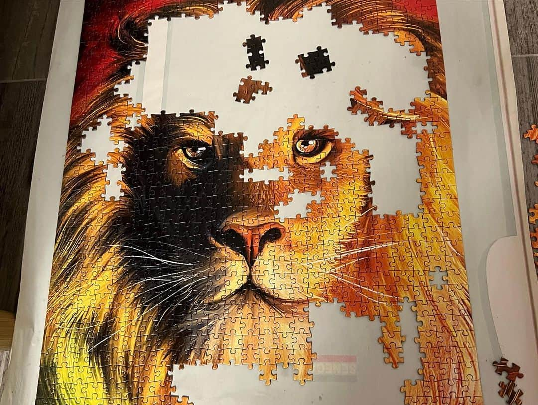 ポリーナ・ラヒモワさんのインスタグラム写真 - (ポリーナ・ラヒモワInstagram)「Mister Lion 🦁 5 days long #lion #puzzle #lover #aksaray」3月24日 5時20分 - polina_rahimova