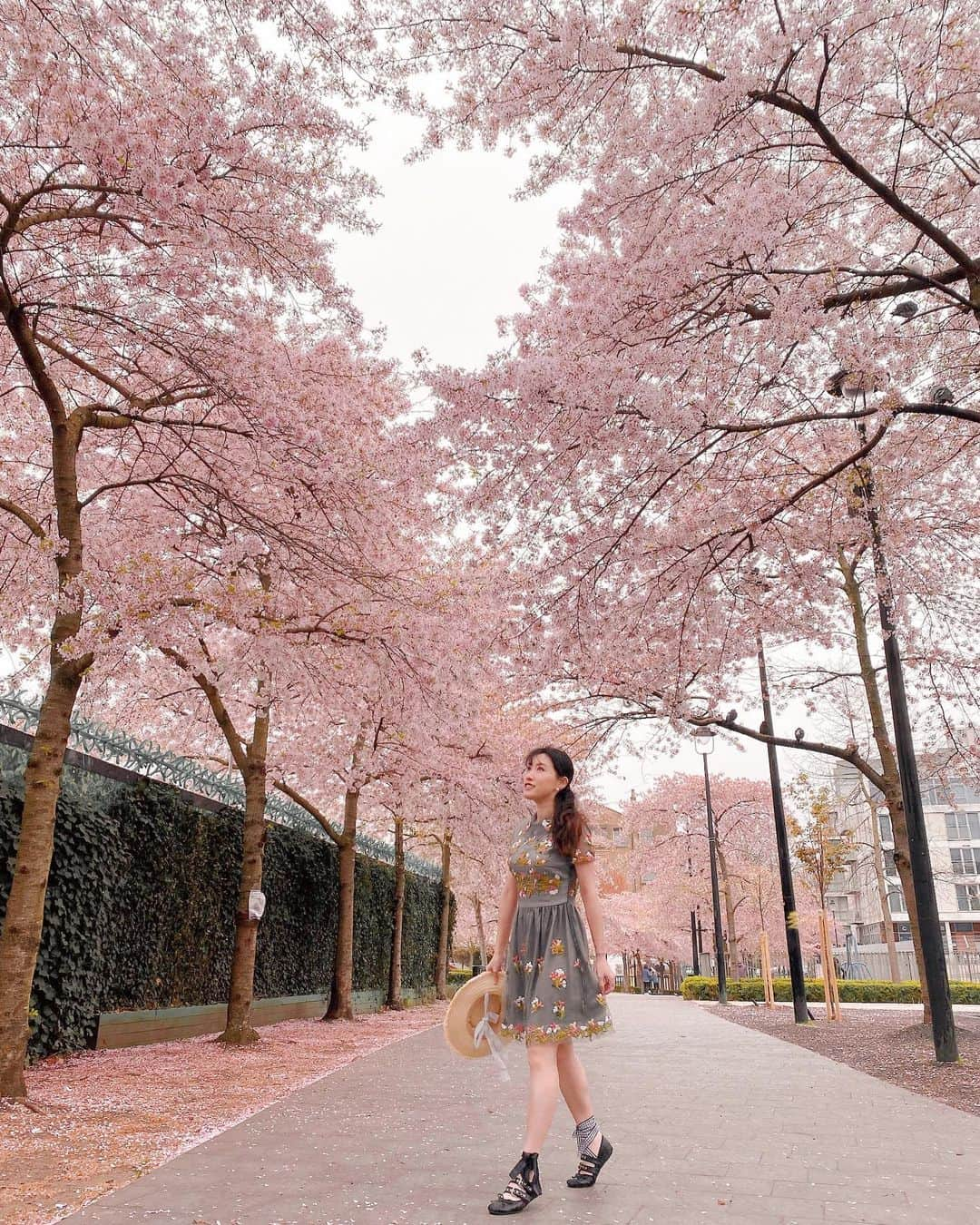 LIKARANAIのインスタグラム：「𝚂𝚙𝚛𝚒𝚗𝚐 𝚑𝚊𝚜 𝚂𝚙𝚛𝚞𝚗𝚐 ✿ One of my BEST cherry blossom spot in London. We can expect the blossom to be in full bloom in the next two weeks 📷🏃🏻‍♀️💨 Are you ready? 🌸🌸🌸  。 。 。 。 。 。 #london #swisscottage #cherryblossom #springinlondon #londontravel #explorelondon #cherryblossominlondon #visitlondon #discoverlondon #londoncitylife #prettylittlelondon #itssolondon #uk #ukblogger #travel #girlstravel #lovegreatbritain #beautifulengland #thisisprettyengland #likeforlikes #shoutout #sakura #花見 #桜 #桜満開 #コメント返し #写真好きな人と繋がりたい #カメラ女子 #カメラ好きな人と繋がりたい」