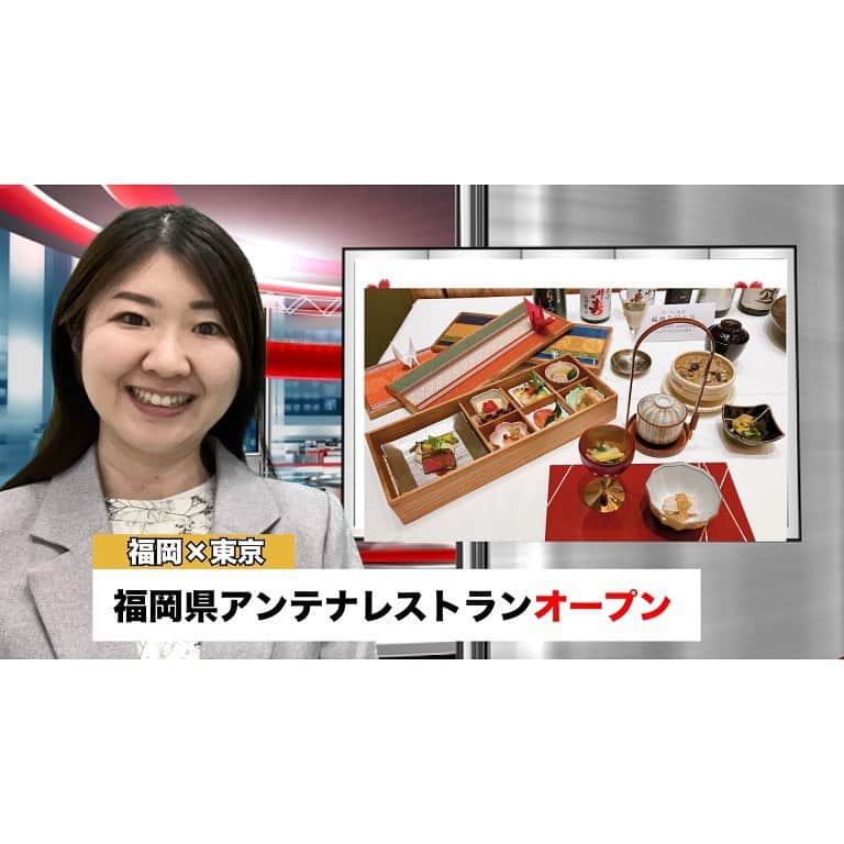 女子アナ47のインスタグラム：「元福岡放送の田邉有沙です。 @arisatanabe  2023年1月、東京麹町にオープンした「麹町なだ万福岡別邸」へ行ってきました！ 創業190年以上の老舗高級和食店のなだ万が、食を通して福岡の魅力を発信する「アンテナレストラン」として運営しています。 旬のものや福岡の特産など材料にこだわりながらも、価格帯はなだ万の他店舗と比べかなりお得感があります！  女子アナ47YouTubeチャンネルからご覧ください。 https://youtu.be/SsGd5xV4xX4  #女子アナ47 #地方創生 #東京 #なだ万 #フリーアナウンサー #麹町グルメ #半蔵門グルメ#高コスパ #ニュース #動画制作」