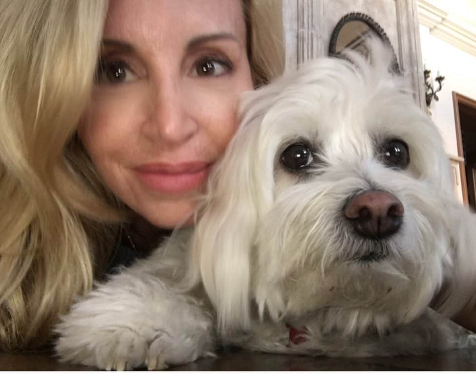 カミール・グラマーのインスタグラム：「My pups. 🐶❤️ Joey and Jacque. #ilovemydog ‘s. #havanese #nationalpuppyday」