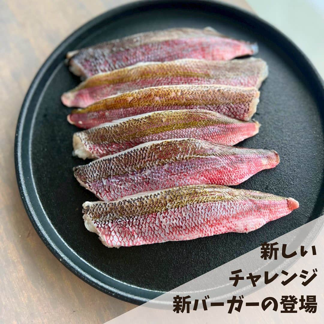 yuu sakuraiさんのインスタグラム写真 - (yuu sakuraiInstagram)「え？MK CAFEに新しい魚のハンバーガーが入る⁇  おはようございます⭐︎ 鯖の不漁が続き、皆さんにお声を掛けをさせて頂いて何とか鯖の入荷が出来るように繋いでいますが、  いつ納品が出来なくなるか分からない状況は変わらず…となった時に、 SNSを見てくださっている方々から 「沖縄県の魚」にも指定されているグルクンを使ったハンバーガーをつくってみてはどうか？とご連絡をいただきました。  こうして日頃から気にかけてくださり 本当にありがとうございます。  今回、カフェのオーナーと何度も話し合い 伝えてくれたアイディアを形にしたいと動き始めることにしました。  グルクンには、PAやDHA、カルシウム、リンが含まれているため、血栓防止、コレステロール値低下、骨・歯の強化、イライラ・ストレスの解消に役立つと考えられます✨  小骨は多いですが、丸ごと揚げてバリバリ食べれるほどで、沖縄の居酒屋には必ずと言っていいほどグルクンの唐揚げがあります⭐︎  自分たちも新たな商品の始まりに、 まずはいろいろなお店に行ってグルクンの美味しさの比較や、  味付けや調理の仕方など勉強していきたいと思います！  最高に美味しいグルクンバーガーを作ります👏🏻 こらからもよろしくお願い致します⭐︎  #グルクン #グルクンバーガー #鯖バーガー #沖縄カフェ#沖縄グルメ#沖縄観光#沖縄旅行 #海の見えるカフェ#ハンバーガー #沖縄南部カフェ#瀬長島#ウミカジテラス #瀬長島ウミカジテラス #fishburger #umikajiterrace#okinawa#japan#mkcafe」3月24日 8時34分 - food_yuu