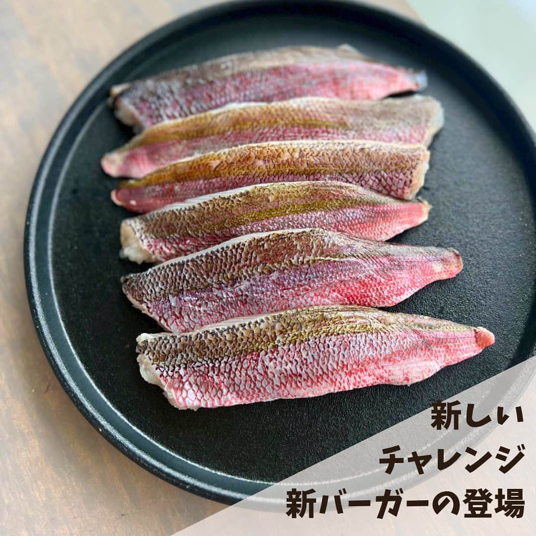 yuu sakuraiのインスタグラム：「え？MK CAFEに新しい魚のハンバーガーが入る⁇  おはようございます⭐︎ 鯖の不漁が続き、皆さんにお声を掛けをさせて頂いて何とか鯖の入荷が出来るように繋いでいますが、  いつ納品が出来なくなるか分からない状況は変わらず…となった時に、 SNSを見てくださっている方々から 「沖縄県の魚」にも指定されているグルクンを使ったハンバーガーをつくってみてはどうか？とご連絡をいただきました。  こうして日頃から気にかけてくださり 本当にありがとうございます。  今回、カフェのオーナーと何度も話し合い 伝えてくれたアイディアを形にしたいと動き始めることにしました。  グルクンには、PAやDHA、カルシウム、リンが含まれているため、血栓防止、コレステロール値低下、骨・歯の強化、イライラ・ストレスの解消に役立つと考えられます✨  小骨は多いですが、丸ごと揚げてバリバリ食べれるほどで、沖縄の居酒屋には必ずと言っていいほどグルクンの唐揚げがあります⭐︎  自分たちも新たな商品の始まりに、 まずはいろいろなお店に行ってグルクンの美味しさの比較や、  味付けや調理の仕方など勉強していきたいと思います！  最高に美味しいグルクンバーガーを作ります👏🏻 こらからもよろしくお願い致します⭐︎  #グルクン #グルクンバーガー #鯖バーガー #沖縄カフェ#沖縄グルメ#沖縄観光#沖縄旅行 #海の見えるカフェ#ハンバーガー #沖縄南部カフェ#瀬長島#ウミカジテラス #瀬長島ウミカジテラス #fishburger #umikajiterrace#okinawa#japan#mkcafe」