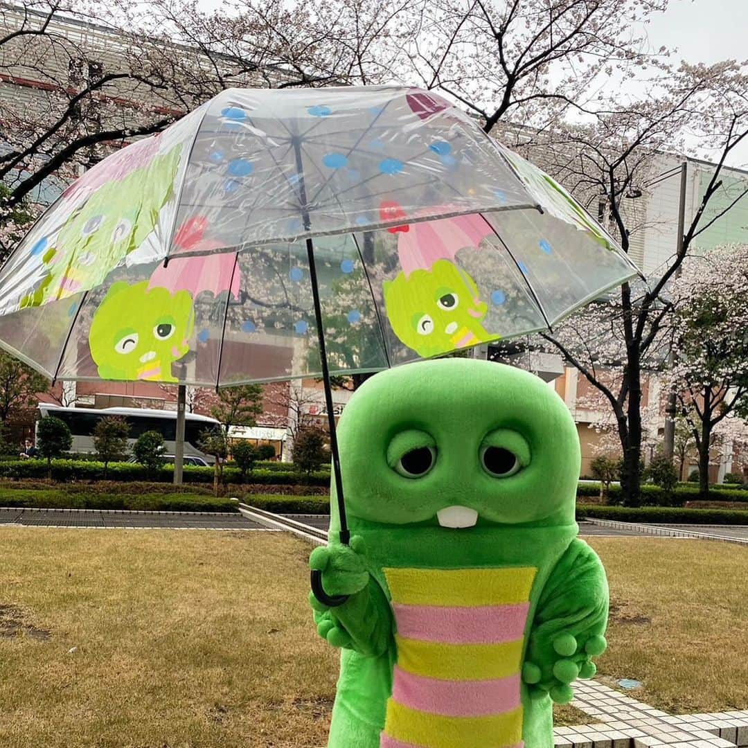 ガチャピンさんのインスタグラム写真 - (ガチャピンInstagram)「おはよー！ お花見行きたい！」3月24日 8時42分 - gachapin_official