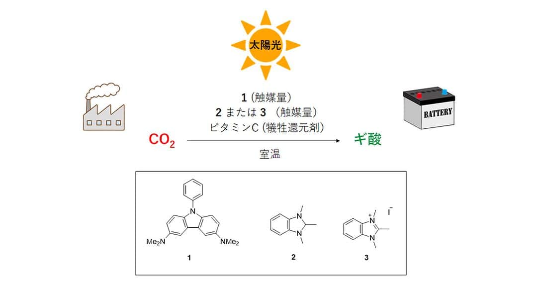 立教大学のインスタグラム：「【ニュース】 希少金属を使用しないCO2変換法を開発 —カーボンニュートラル実現に期待—  神戸大学理学研究科の松原亮介准教授、分子フォトサイエンス研究センターの小堀康博教授、立教大学理学部の山中正浩教授の共同研究チームは、希少金属 注1）を使用せずにCO2からギ酸 注2）を製造する方法を開発しました。  地球温暖化ガスの一つであるCO2の大気中濃度の増加が社会問題化しています。さらに、人類活動に欠かせない化石燃料(石油や天然ガスなど)の枯渇は、近い将来必ず訪れるといわれています。この二つの課題を同時に解決する一石二鳥の手法として、太陽光を用いてCO2を化石燃料またはそれに準ずるものに化学変換する方法、いわゆる人工光合成が有望視されており、現在世界中でその研究が進められています。しかしながら、報告されるほとんどの方法では希少金属の使用が必須であり、地球規模の大きなスケールで行うには大きなハードルが残されていました。 今回松原准教授らは、希少金属を含まない触媒系注3）を新たに創製し、室温、一気圧のCO2雰囲気という穏和な条件で、CO2をギ酸に変換できる光化学反応を開発しました。この反応では外部からのエネルギーとして電気エネルギーを注入する必要はなく、太陽光のみで反応が進行します。 今後は、今回の反応では必須であった犠牲還元剤注4）を用いなくてもよい触媒系や、メタンやメタノールなどギ酸以外の炭素燃料を製造する反応の開発を行っていく予定です。 本研究成果は令和5年3月23日（木）16時（英国時間。日本時間：3月24日（金）午前1時）に英国Nature Publishing GroupのNature Chemistryのオンライン速報版で公開されます。  ポイント 希少な金属を用いずにCO2をギ酸に変換する光化学反応を開発 地球温暖化ガスの減少と化石燃料の製造を同時に達成する一石二鳥反応の実用化に期待  研究の背景と経緯 植物の光合成を担う酵素は、太陽光を用いてCO2を糖（グルコース）に変換するという、反応開発の科学者から見ると神がかった機能を持つ触媒といえます。光合成により長年地球の大気環境は一定に保たれてきたのですが、人類文明の急速な発展により、植物が持つ恒常化効果を人類活動（CO2排出と化石燃料の消費）が上回るようになりました。そのため、人工光合成の開発が人類の存続には不可欠な状況となり、世界中で研究が行われています。その研究の中で、金属元素、特に地殻にわずかしか存在しない希少金属が高い触媒活性を持つことがわかってきました。しかし、希少であるが故に地球規模の大きなスケールへ実用展開することが難しいという問題があります。  これまで松原准教授らは、高い還元力（電子を他の分子に与える力）を有する非金属光増感剤注5）の研究を行ってきました。最近では、分子構造を修飾することにより、紫外光よりもエネルギーの低い可視光を照射することでも高い還元力を獲得できる非金属光増感剤を開発しています。これにより、可視光成分を主成分とする太陽光をそのまま利用できる光反応が実現可能となりました。  本研究では、これまでの光増感剤に加えてさらに別の非金属触媒を併用することで、可視光照射下でのCO2光還元を達成しました。  研究の内容 触媒系の構築：CO2をギ酸にするためには、CO2に電子を与える、すなわち還元する必要があります。しかしCO2は非常に安定な分子であり、還元するのは容易ではありません。今回我々は、カルバゾール1を光増感剤として新たに創製し、この分子が可視光照射下で極めて高い還元力を獲得することを明らかにしました（図1）。この光増感剤だけではCO2光還元反応（ギ酸生成反応）の効率は低くとどまりましたが、ここに非金属触媒2を添加するとギ酸の生成速度が劇的に向上することを発見しました。最適化された条件においては、一分子のカルバゾール1からギ酸を6500分子以上も生成できることが分かり、優れた触媒系が構築できたと言えます。  反応機構の解明：開発したCO2光還元反応の機構解明の研究を行いました。  https://www.rikkyo.ac.jp/news/2023/03/mknpps0000025we4.html」