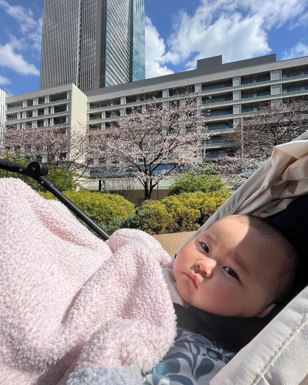 神尾美沙さんのインスタグラム写真 - (神尾美沙Instagram)「愛しき者たちと春🌸 近所に桜スポットがたくさんあって楽しむ日々。 桜が咲くたびに、あと何回見られるんだろうってセンチメンタルにもなるの私だけ？🥹 90歳くらいまで生きられるとしたらあと約60回しかこの桜シーズンを味わえないんだから、 しっかり楽しまないとって思う。(特別なことは何もしないけど笑)  ちなみに桜味はそんなに好まないので、毎年特に楽しみではない🌸 60回しかないなら、いつかは食べてみても良いかな~  #桜2023#お花見#お花見スポット#赤ちゃんのいる暮らし#赤ちゃんのいる生活#ポメラニアン#ポメラニアン部#白ポメ」3月24日 10時26分 - kamiomisa