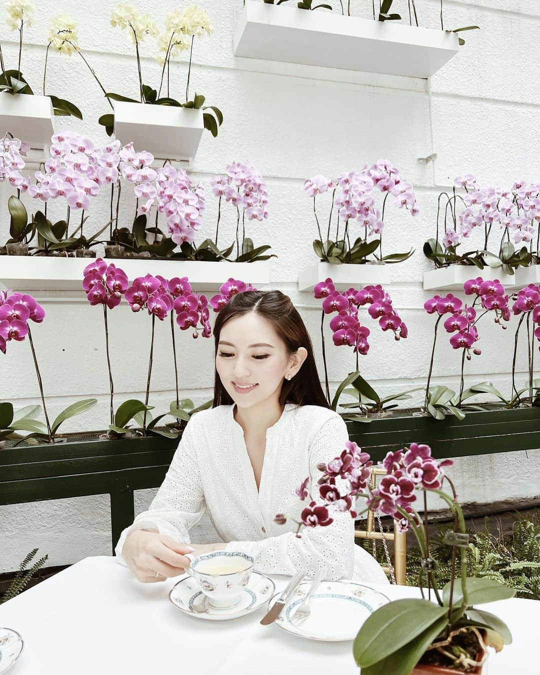 新井椎己のインスタグラム：「𝒜𝒻𝓉ℯ𝓇𝓃ℴℴ𝓃 𝒯ℯ𝒶  surrounded by blooming orchids 🤍」