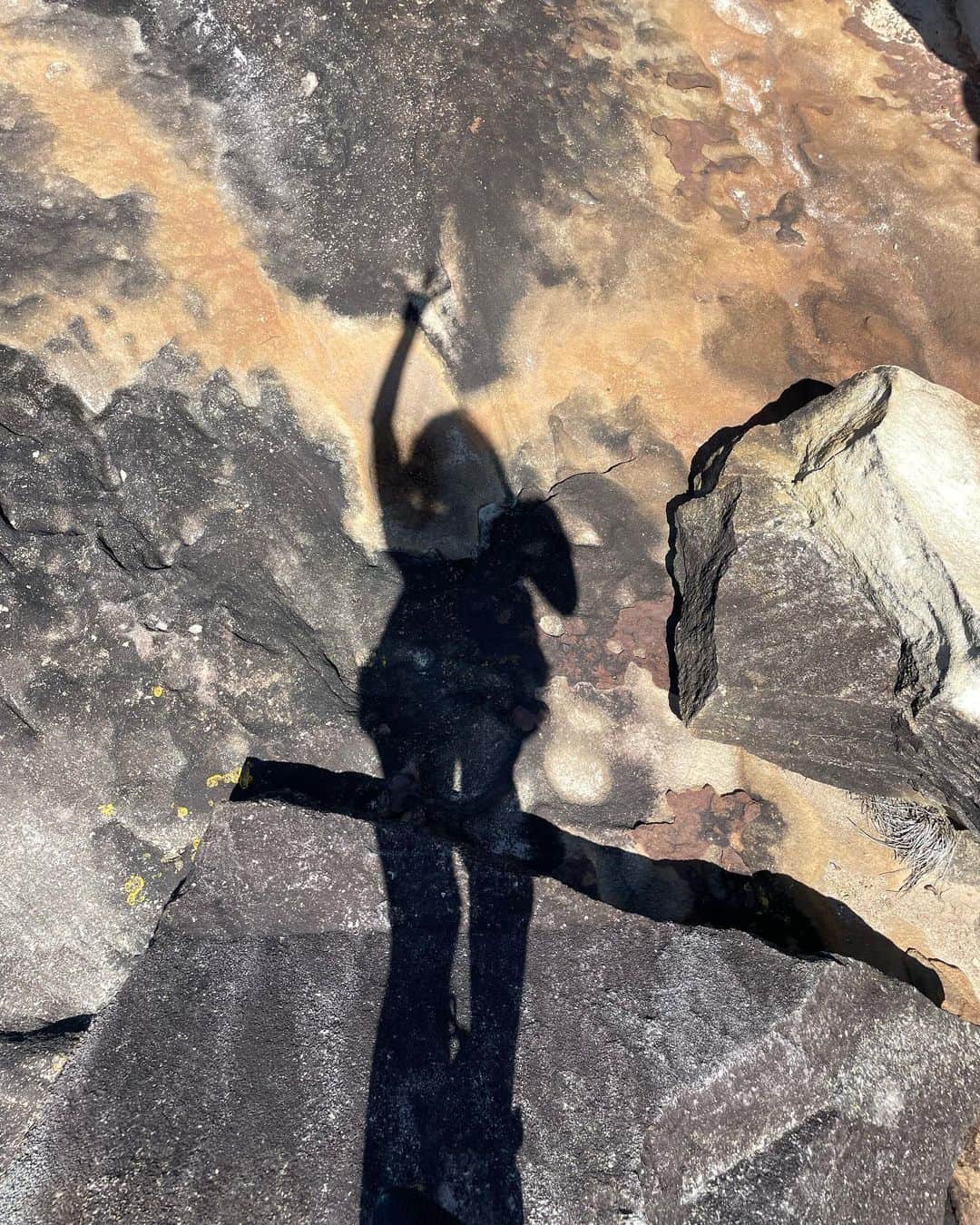 あゆみさんのインスタグラム写真 - (あゆみInstagram)「The leap . 自然がつくる不思議なパターン🪬 . . #sydney #nsw #australia #exploresydney」3月24日 19時54分 - ayumiiii26