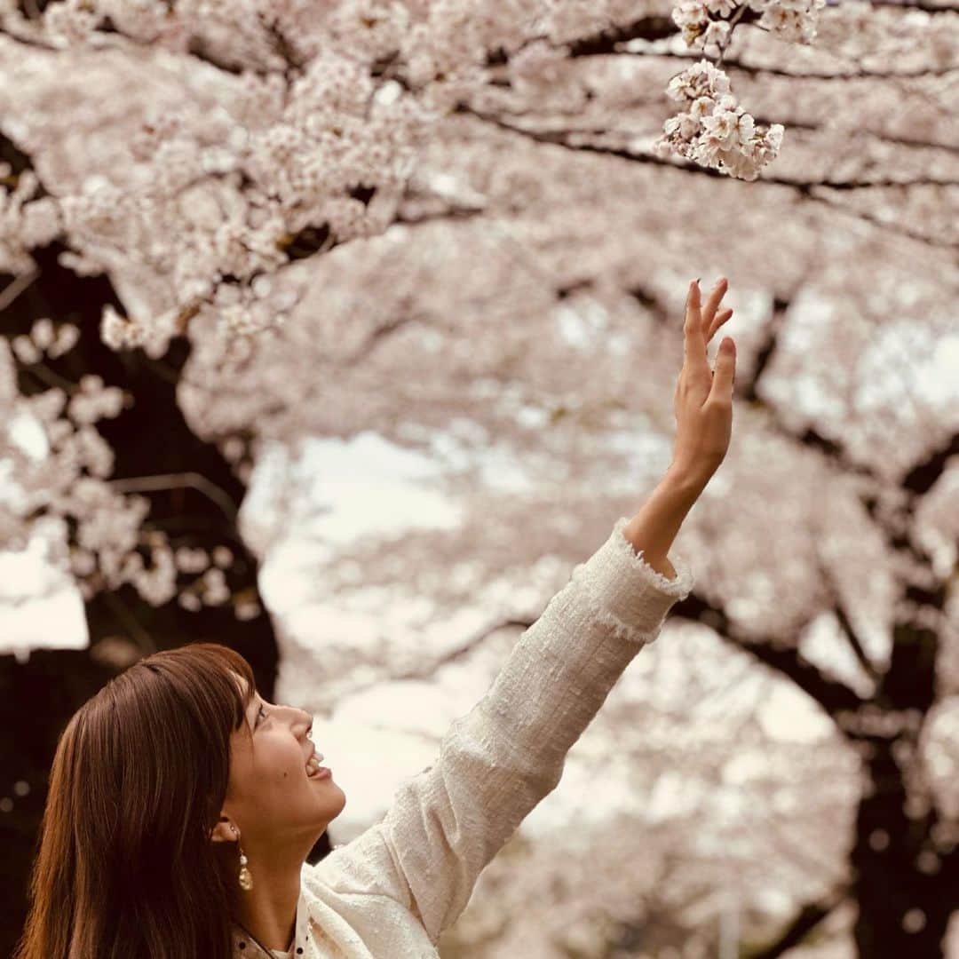 間瀬遥花さんのインスタグラム写真 - (間瀬遥花Instagram)「. 今朝のZIP!は、桜満開の千鳥ヶ淵から生中継🌸 . 昨夜からの雨もちょうど止んで、見渡す限りの桜をたくさんお届けできました！ . お天気のくぼさんとマーシュちゃんとも春爛漫の写真が撮れました✨ . 何度季節が巡っても、毎年この時期は本当に日本に生まれてよかったと思う☺️ . . 衣装 jacket & tops… @dressterior_official  pants… @grove_jp  . . #zip #生中継 #桜 #桜スポット #桜並木 #桜満開 #満開 #満開の桜 #千鳥ヶ淵 #千鳥ヶ淵の桜 #お花見 #お花見スポット #お花見日和 #ツイードジャケット #ツイードジャケットコーデ #パンツコーデ #パンツ #dressterior #grove」3月24日 20時07分 - maseharu_929