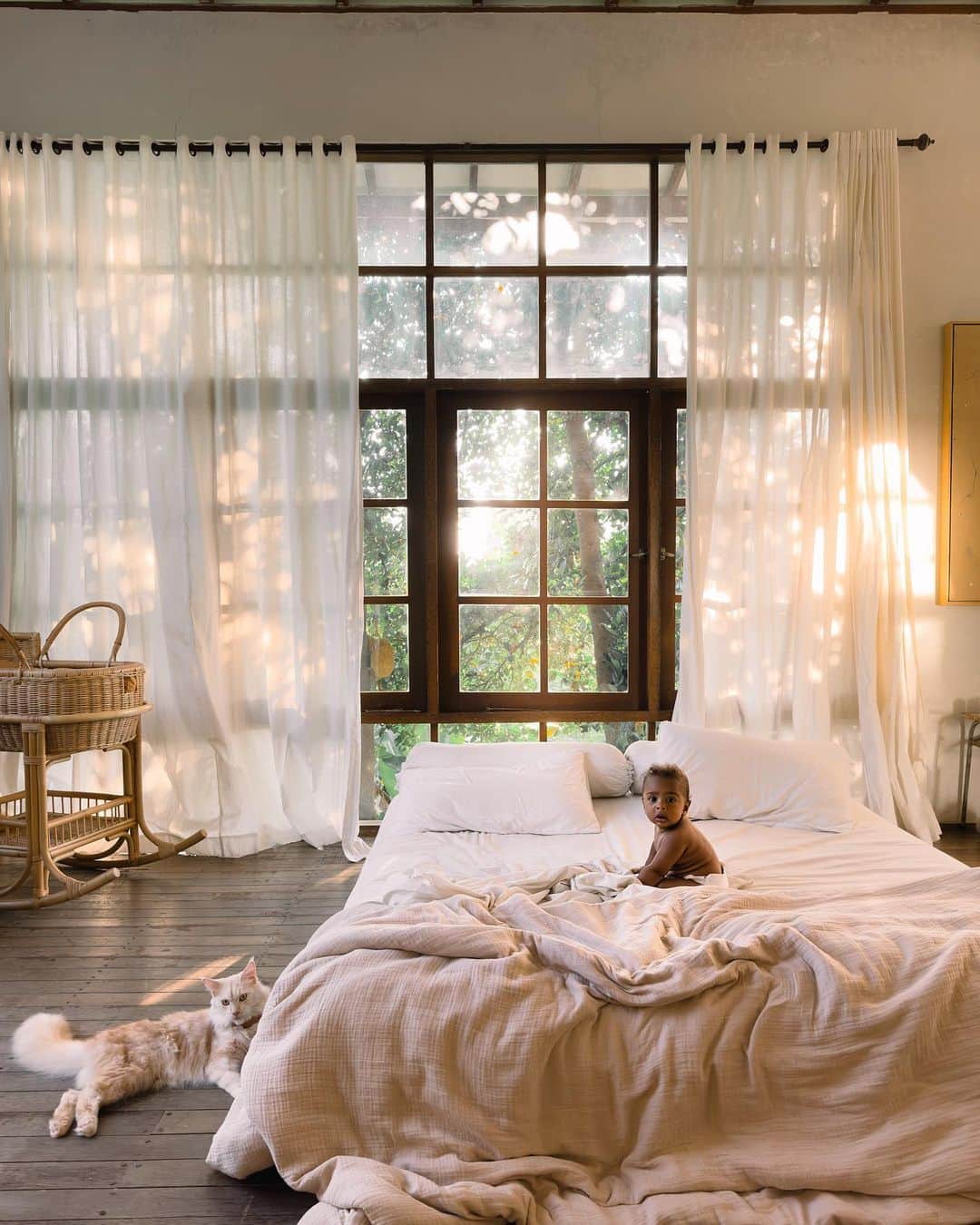 リリー＝ローズ・メロディのインスタグラム：「Last morning in Bali before a little while✨.  We’re currently on our way to Europe where we will be working on some projects. First stop is France and we can’t wait to finally introduce our little sunshine to our family and friends 🫶🏻.  Btw I think those two will end up being best friends 🥺🤍. I wish I could have take my furry baby with us but he’s in good hands with good friends of ours who moved into our villa to take good care of him while we will be away 🫶🏻.  See you soon Bali.」