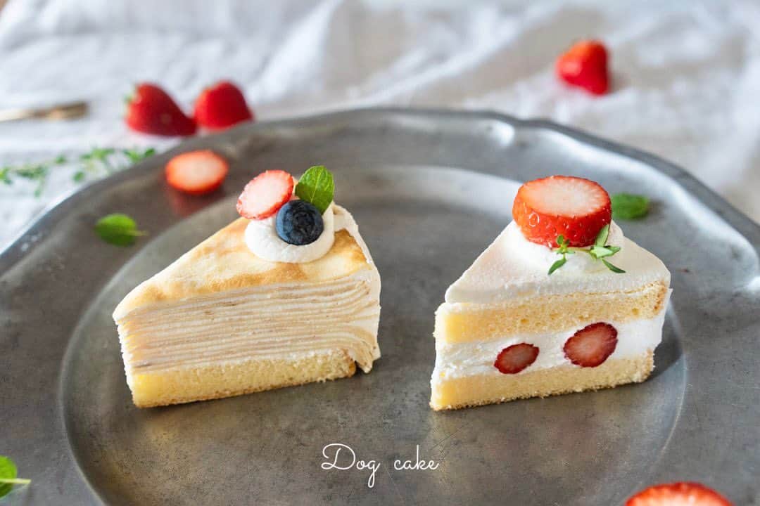 ノカフェのインスタグラム：「明日3/25(土)〜ワンちゃんケーキご用意いたします！ 低糖質低脂肪ケーキですのでワンちゃんと一緒にケーキを楽しんでいただけます！  ◯いちごショートケーキ ◯ミルクレープ 数量限定のため無くなり次第終了となりますので予めご了承ください。  ※online shopでも近日販売予定です！  【ワンちゃん用お席】 ・テラス席4席 ・芝生席2テーブル8席 ※芝生席は晴れの日のみです。雨の日はcloseとなります。 よろしくおねがいいたします。」