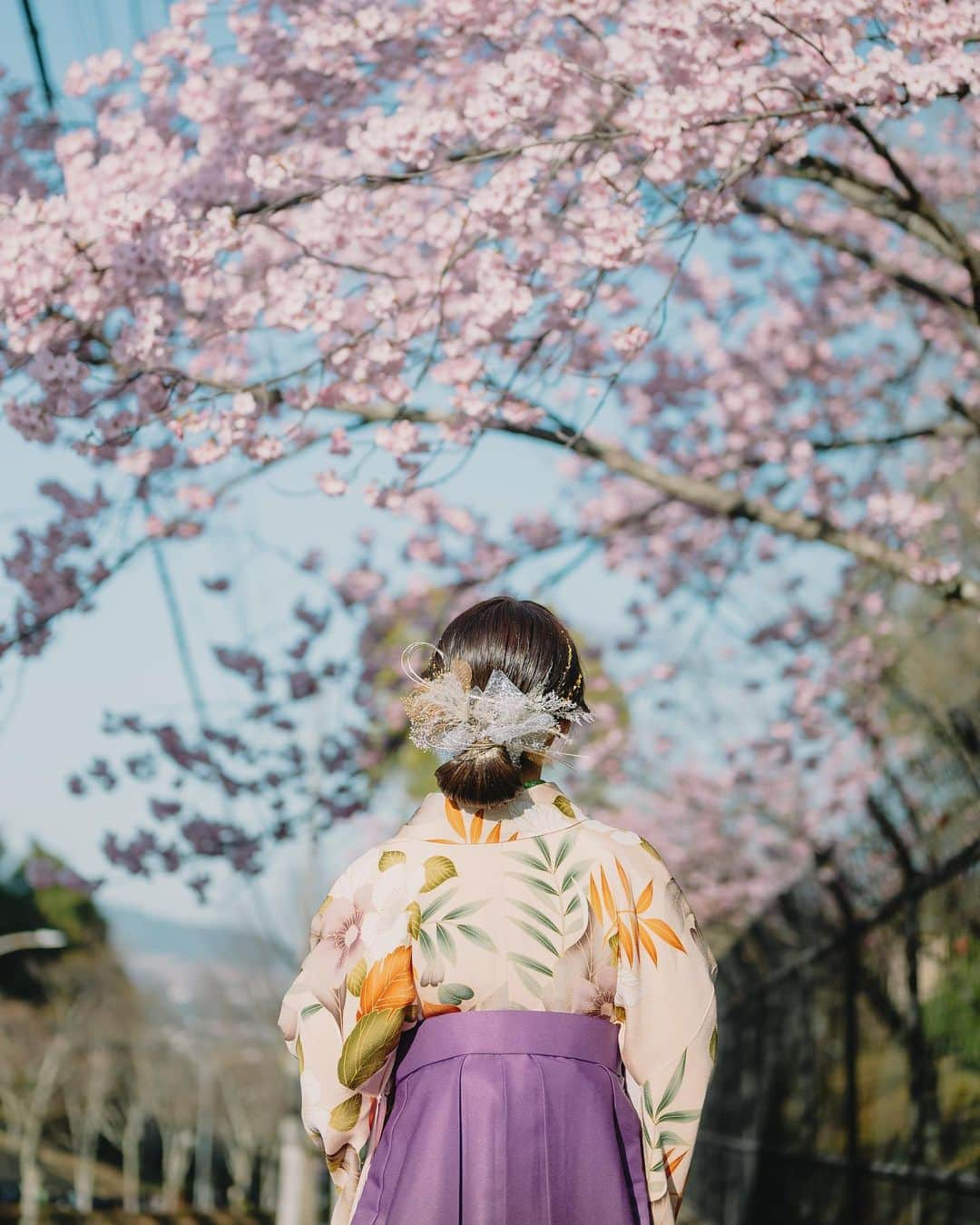 志賀可奈子さんのインスタグラム写真 - (志賀可奈子Instagram)「同志社大学を卒業しました💐✨  かけがえのない出会いと思い出に溢れた4年間。 親、友達、先生方、支えて下さったみなさま、 これまで本当にありがとうございました🕊  #同志社大学 #心理学部 #卒業式」3月24日 20時33分 - kanapan_ya