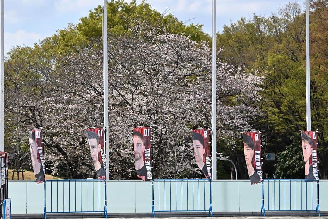 ザック・バランスキーのインスタグラム：「そこの君🫵 バスケも桜も見たい？ 代々木集合だね🏀🌸🤝」