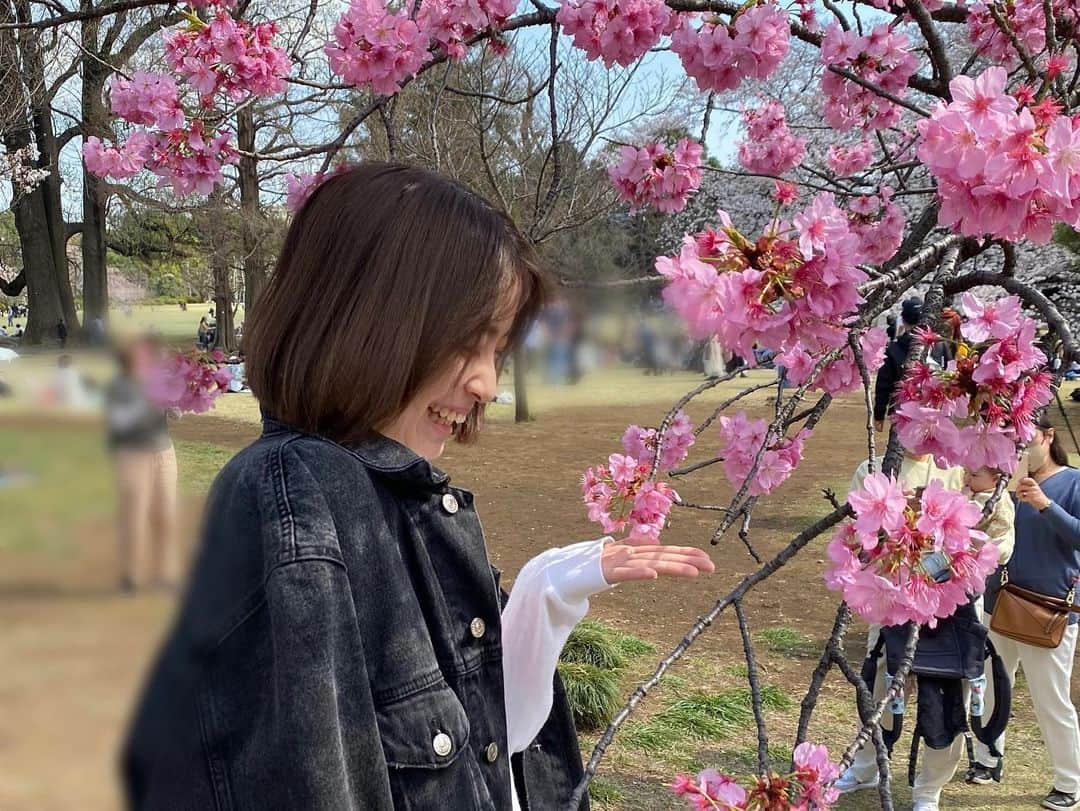 後藤萌咲さんのインスタグラム写真 - (後藤萌咲Instagram)「. 新宿御苑の桜🌸  ここ何日かは雨みたいですが…。 桜も散っちゃうのかな…😔」3月24日 20時46分 - moe_goto0520