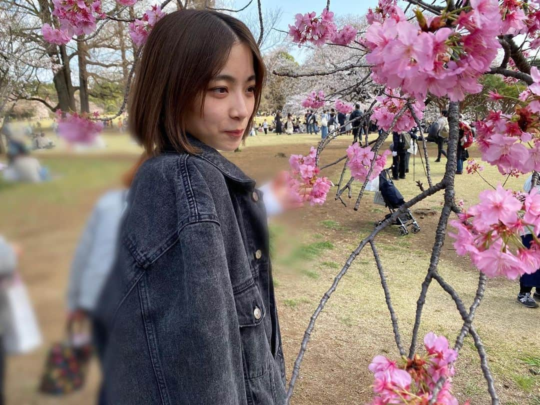 後藤萌咲さんのインスタグラム写真 - (後藤萌咲Instagram)「. 新宿御苑の桜🌸  ここ何日かは雨みたいですが…。 桜も散っちゃうのかな…😔」3月24日 20時46分 - moe_goto0520