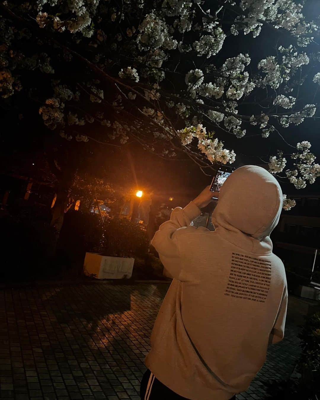 島村龍乃介さんのインスタグラム写真 - (島村龍乃介Instagram)「...🌸📸 #桜　 #知り合いに言われるまで #桜に気づかんかった #いつ咲いたんだ」3月24日 20時53分 - shimamuraryunosuke