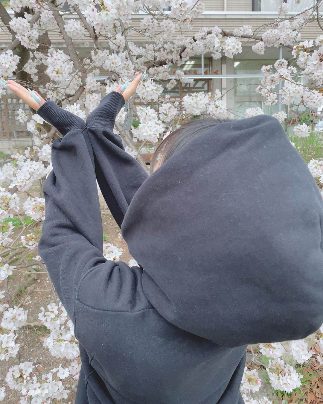 姫乃夢月さんのインスタグラム写真 - (姫乃夢月Instagram)「桜咲いたら…☝🏼   #姫乃夢月  #京都  #桜」3月24日 21時08分 - himeno211018_official