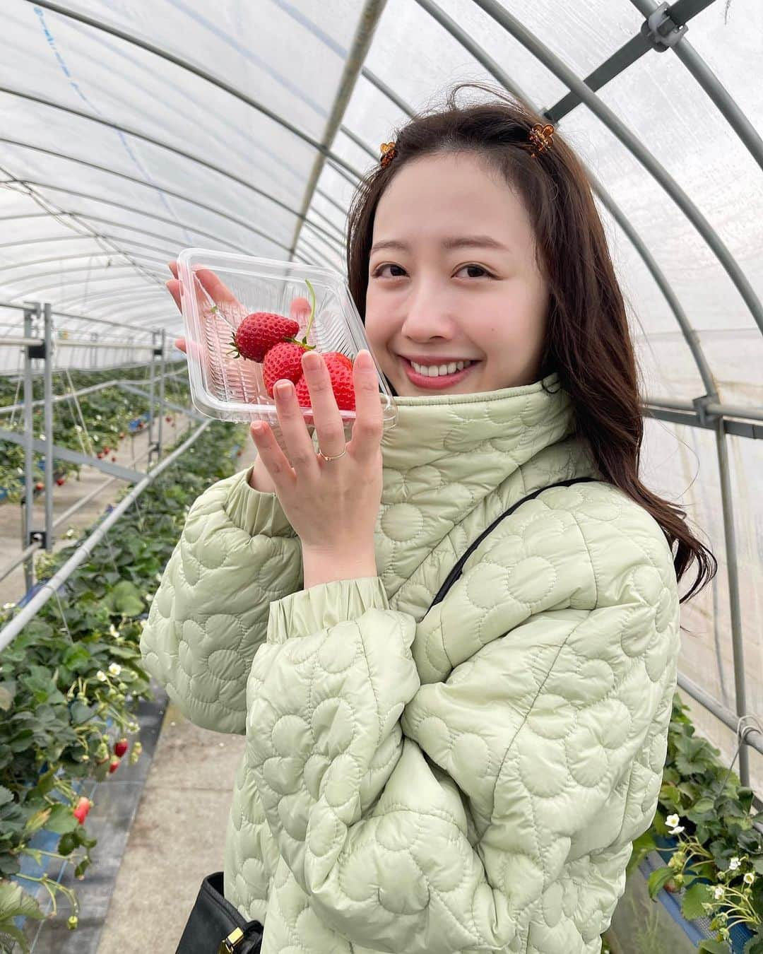 浦まゆのインスタグラム：「. 愛犬と行けるいちご狩りへ🍓 プライベートでは初めてのいちご狩り！！！ お天気崩れて寒かったけど、甘くて綺麗な苺に我が家の息子たちも大興奮でした🐶💗笑 そして観光パンフレットの撮影で定期的に訪れていた栃木県は、やっぱり人が温かくてだいすき🫶🏻  #いちご狩り #でこっぱち #犬がいる生活 #栃木県観光」