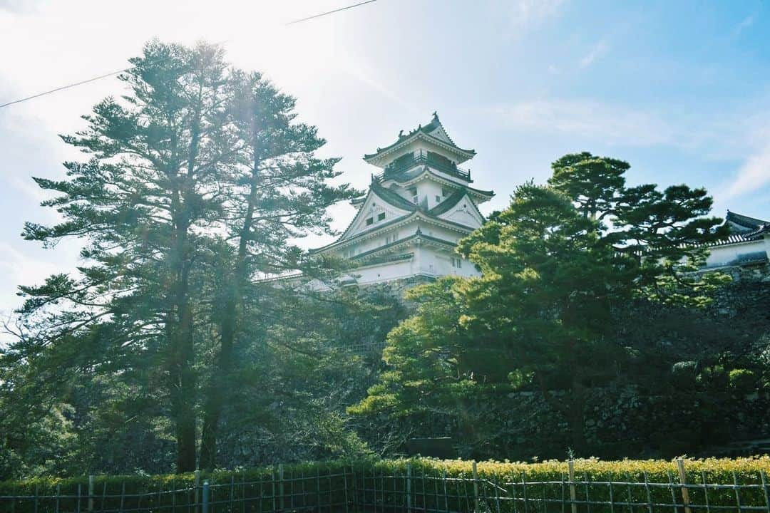 東京カメラガールズのインスタグラム