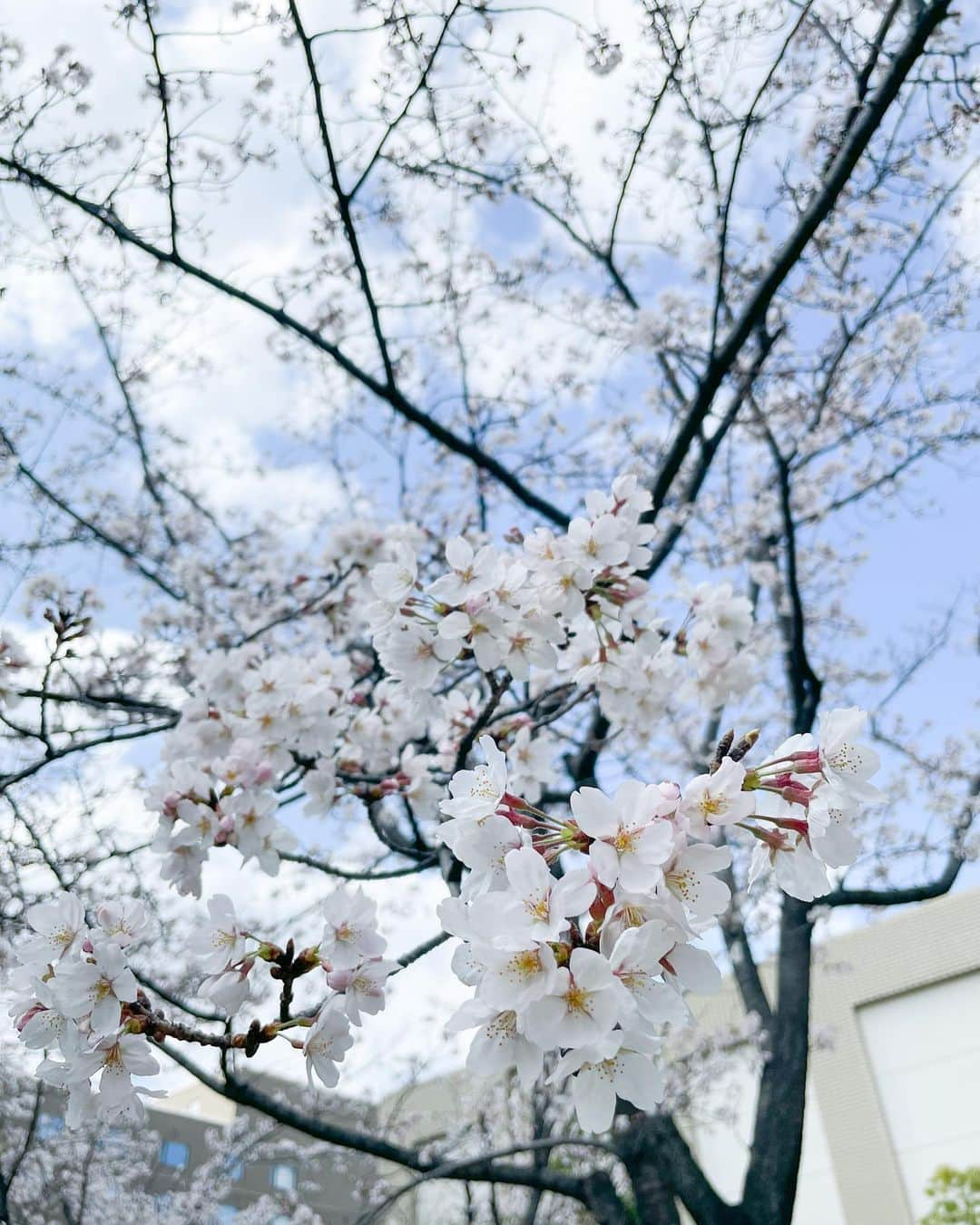 生田竜聖さんのインスタグラム写真 - (生田竜聖Instagram)「. 先日、とあるドラマの撮影に参加しました🎥  続報は、後日お伝えします！  取り急ぎご報告まで！  #匂わせ投稿」3月24日 13時26分 - ryusei_ikuta