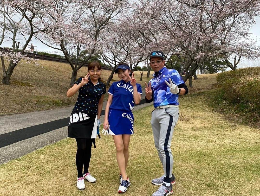 野田すみれのインスタグラム：「松崎しげるさんと 中村英美さんコラボコンペ⛳️ あいにくの雨でしたが 豪華で楽しく参加させていただきました💕 モノマネ芸人英二さんのショーも素晴らしく楽しみました😊💕 桜も満開🌸 . #野田すみれ @shibagolf_studio  #ゴルフ #キャロウェイ #pgaティーチングプロ」