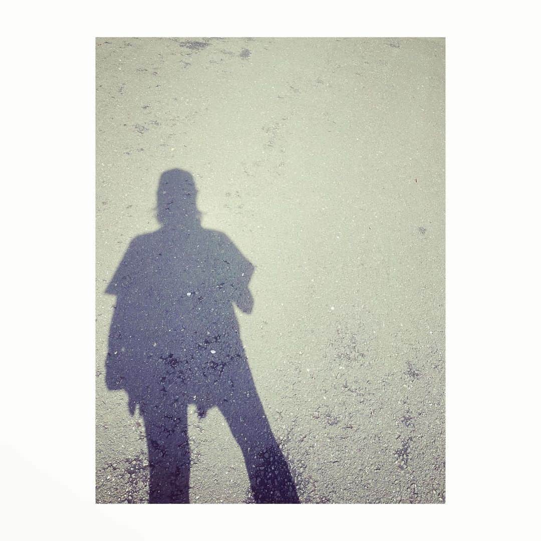 吉田羊のインスタグラム：「shadow sheep」
