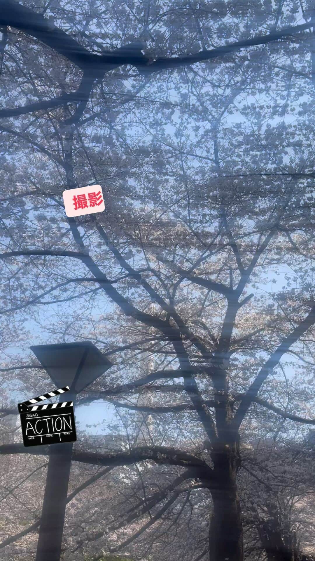 堀内敬子のインスタグラム