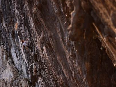 伊東秀和さんのインスタグラム写真 - (伊東秀和Instagram)「. Photographer @tallers_photopress  Special Thanks 🙏🏻  6,7年前から @climbersjp の取材やインタビュー。他の収録や大会などでも写真を撮ってもらう機会で出会ったプロカメラマンの窪田さん。昨年頃から岩場に一緒に来てみたいと言ってくれていたのですが、海外出張も多く、なかなかタイミングが合わず。 今回、タイミングが合い、岩場に一緒に行くことができました💫 アスリートチームの2人と、美和ちゃんともタイミングが合い4人で二子山！ @neo__suzuki @miwa_oba #aimori  1日晴天で暑い1日でした☀️ 自分はリピートやトライしたことない課題を楽しみました✅ 沢山の写真ありがとうございます✨✨✨ @raffinee_orientalbio  @mammut_japan  #japan  #climbing  #climbinglife  #climbingrocks  #climbingphotography  #photographers  #climbingmountains  #climbing_pictures_of_instagram  #二子山  #晴天☀️  #ヒデスク  #アスリートチーム」3月24日 14時20分 - hide9a2019