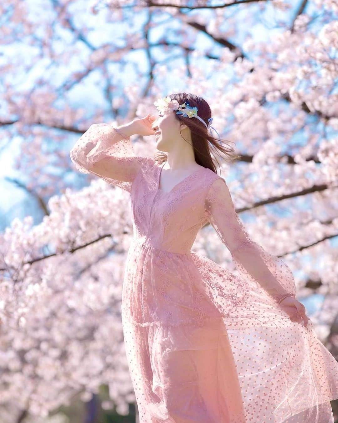 彩月つくしのインスタグラム：「アイコンを春仕様に🌸  #cherryblossom#spring#japan」
