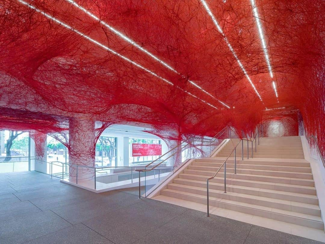 塩田千春のインスタグラム：「#Repost @hammer_museum ・・・ 🔴 Hammer Projects: Chiharu Shiota (@chiharushiota) will be the inaugural exhibition featured in our redesigned lobby opening this Sunday.   Shiota's installation, entitled The Network, envelops the area, spanning the length of the entire gallery. The red yarn and its intricate weavings mimic organic forms such as veins and fractals.   Witness the power of this immersive exhibit firsthand starting March 26.  For more info, visit the link in our bio! ___ 📸Hammer Projects: Chiharu Shiota, Installation view, Hammer Museum, Los Angeles, March 26 – August 27, 2023. Photo: Jeff Mclane」