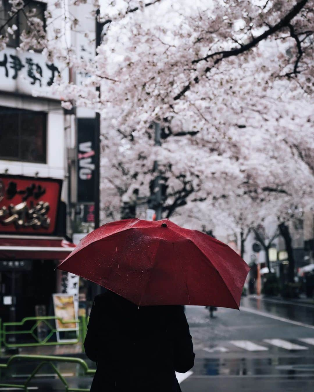 Takashi Yasuiのインスタグラム