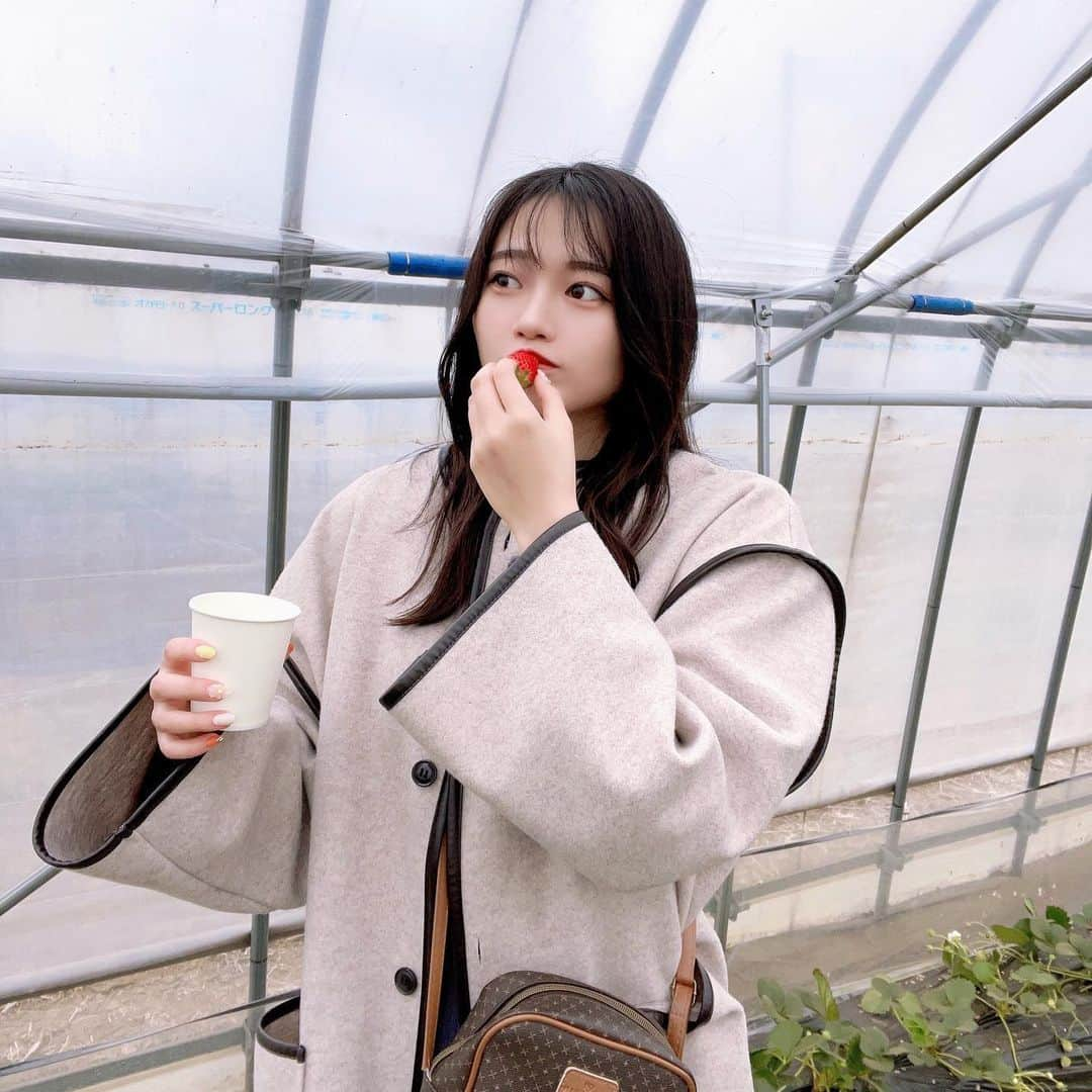 ASUKA（金子明日香）のインスタグラム：「⁡ 🍓🍓🍓🍓」