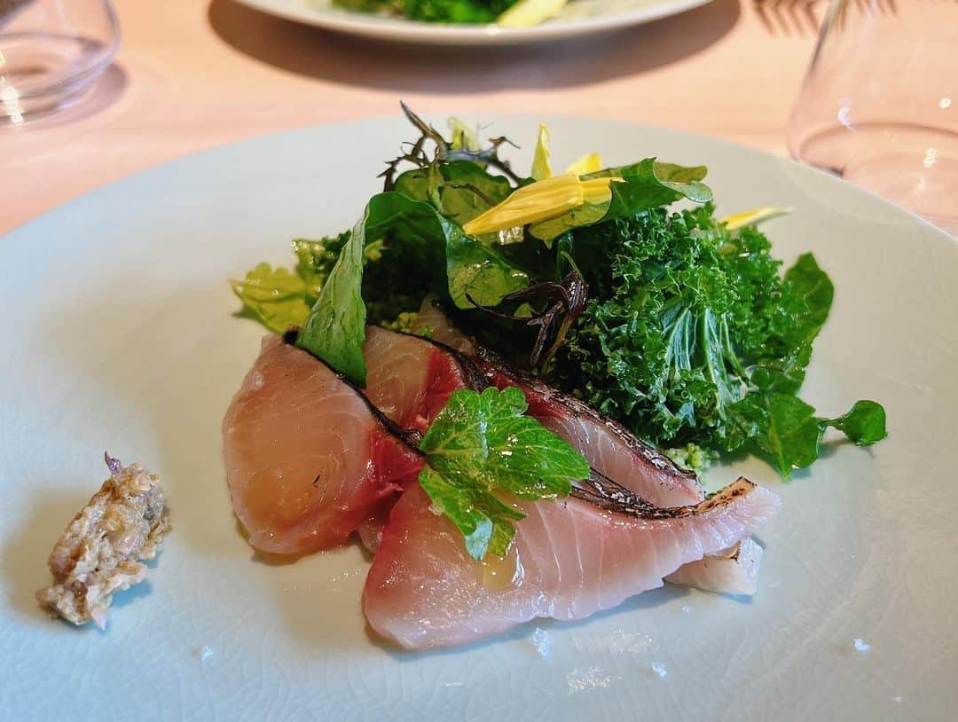 星村麻衣さんのインスタグラム写真 - (星村麻衣Instagram)「桜が見える素敵なお店でランチ🌸🍴 目黒川の桜は今年も綺麗でした🥰 #ラルーナロッサ  #中目黒 #桜日和 #美食倶楽部 #ランチ」3月24日 16時26分 - hoshimuramai