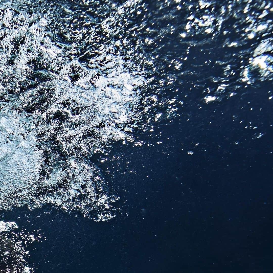 鳥海連志のインスタグラム