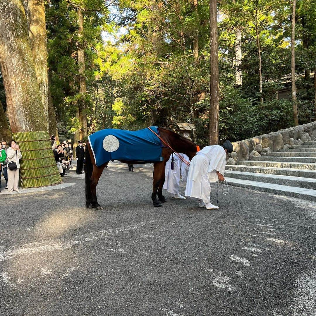 梶原悠未さんのインスタグラム写真 - (梶原悠未Instagram)「2/26にジャカルタでの国際大会で落車し、肋骨骨折、肉離れ、靭帯損傷し、リハビリに取り組んできて、1ヶ月。  足を引きずって泣きながら帰ってきた私を介護してくれて、心身共に支えてくれた母に感謝します。  この期間に気づいたこと、感じたこと、変わったことがたくさんありました。  それらをこれから行動に移せることが楽しみです✨  25年間頑張り続けてくれている身体に感謝。 いつも酷使してごめんね、毎日頑張ってくれてありがとう。  支えてくださる皆様に感謝です。  オフの日に、ずっと行きたかった出雲大社、伊勢神宮に、弾丸日帰りで行ってきました⛩  神様に感謝の気持ちを伝えてきました。  人生で初めて行けて、とっても感動しました！  今度はゆっくり温泉に浸かりながら行きたいな💕  みなさんにもこのパワー届きますように🤲  #出雲大社 #出雲グルメ #出雲そば #伊勢神宮 #伊勢グルメ #赤福 #怪我 #リハビリ #弾丸旅行 #日帰り旅行」3月24日 16時38分 - yumi_kajihara