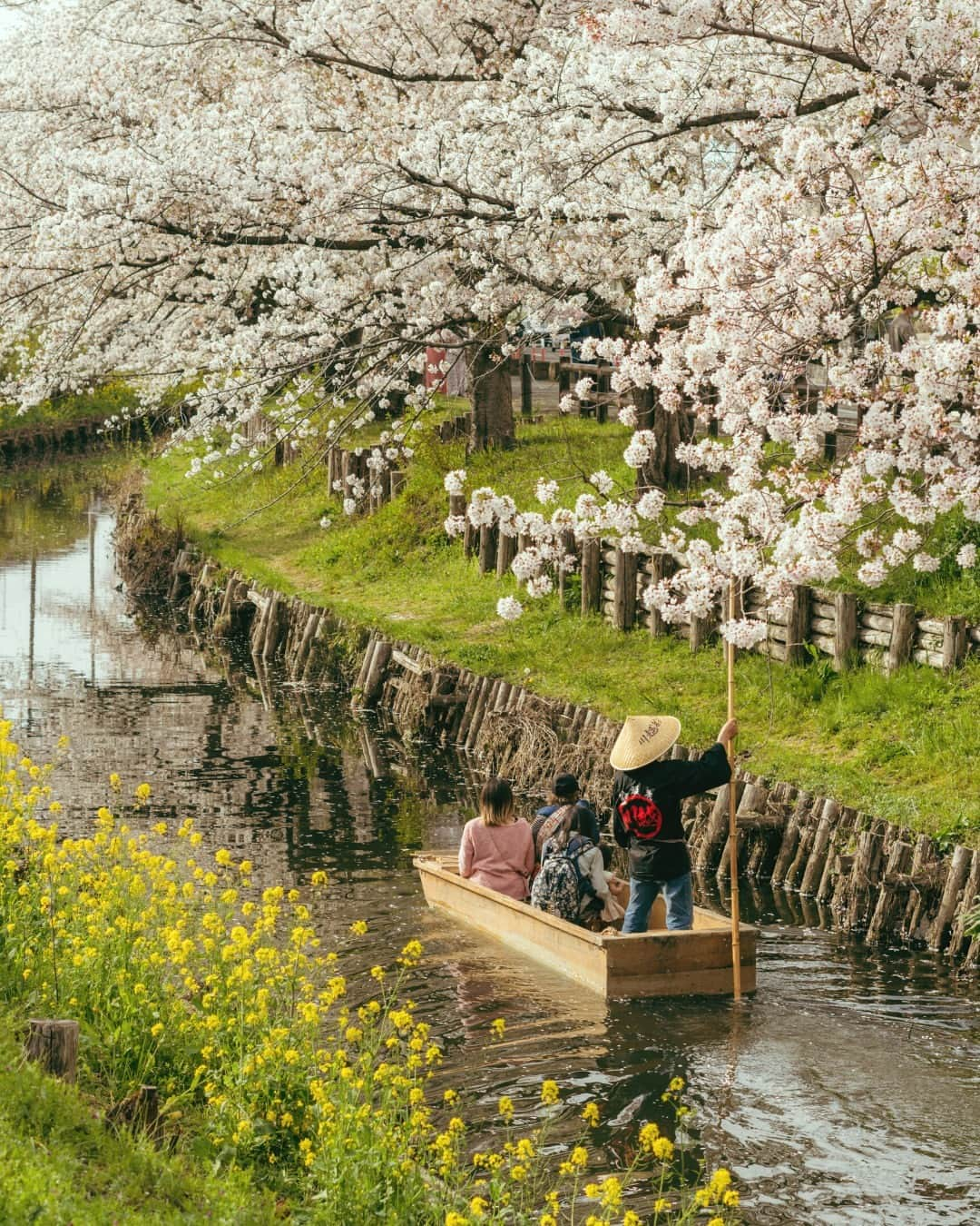 Booking.comのインスタグラム：「待ちに待った、桜の季節の到来🌸 全国各地で広がる1年に一度しか見られない光景を求めて、桜ほころぶ春の旅に出かけませんか？ 春旅の宿泊はBooking.comから🧳プロフィールにあるリンクをチェック！」