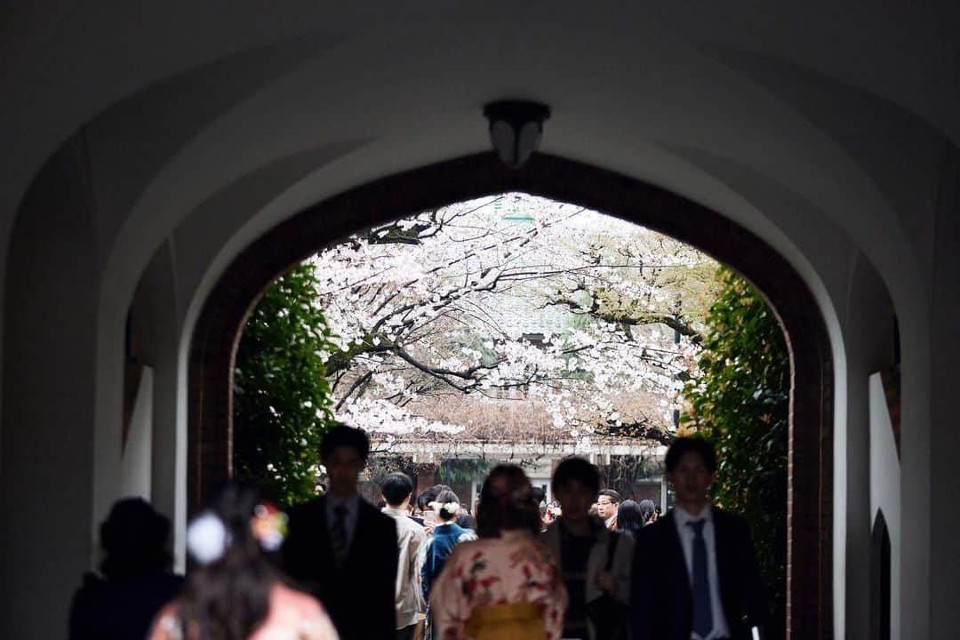 立教大学さんのインスタグラム写真 - (立教大学Instagram)「立教大学学位授与式 🌸ご卒業おめでとうございます🌸  2023年3月23日（木） ・理学部、社会学部 ・文学部、Global Liberal Arts Program ・経済学部  #立教大学学位授与式 #卒業式 #祝卒業 #卒業おめでとう #graduation #rikkyouniversity #立教 #立教大学 #池袋 #ikebukuro #coregraphy #photography #ファインダー越しの私の世界」3月24日 17時51分 - rikkyouniv