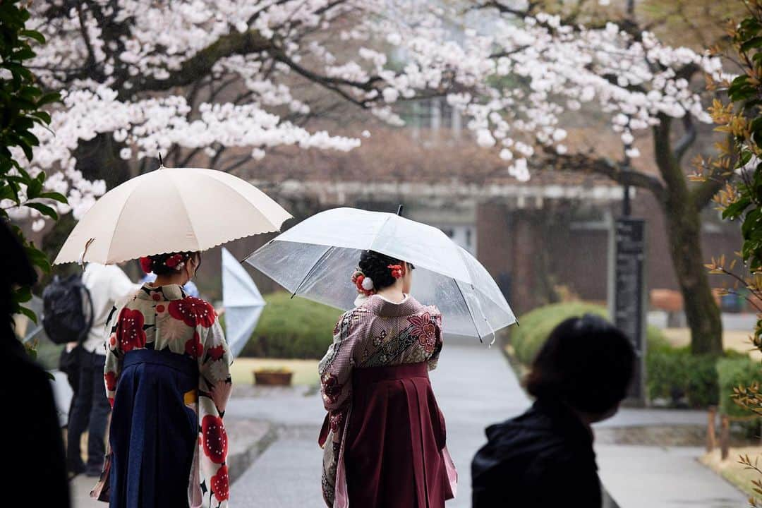 立教大学さんのインスタグラム写真 - (立教大学Instagram)「立教大学学位授与式 🌸ご卒業おめでとうございます🌸  2023年3月23日（木） ・理学部、社会学部 ・文学部、Global Liberal Arts Program ・経済学部  #立教大学学位授与式 #卒業式 #祝卒業 #卒業おめでとう #graduation #rikkyouniversity #立教 #立教大学 #池袋 #ikebukuro #coregraphy #photography #ファインダー越しの私の世界」3月24日 17時51分 - rikkyouniv