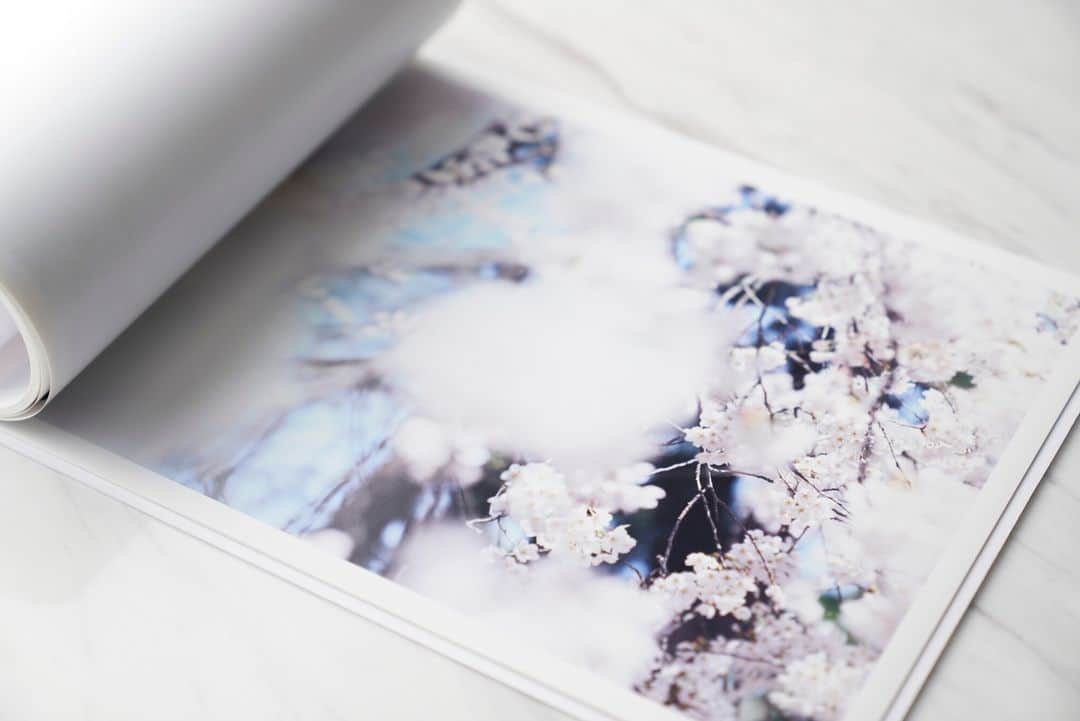 SHISEIDO THE GINZAさんのインスタグラム写真 - (SHISEIDO THE GINZAInstagram)「【SAKURA】  鈴木理策さんの桜が手の中で満開に。 これを眺めれば、花の季節の“あいにくの空模様”にも 動揺しなくてすみそうです。  当店での写真集のお取り扱いは2冊のみとなります。  4階SHISEIDO THE TABLESでお待ちしております。  #資生堂#shiseidothestore#資生堂銀座本店#shiseidothetables#銀座#ギンザ#ginza#写真#ギフト#gift#本#ブックカフェ#桜#さくら#sakura」3月24日 20時00分 - shiseidothestore