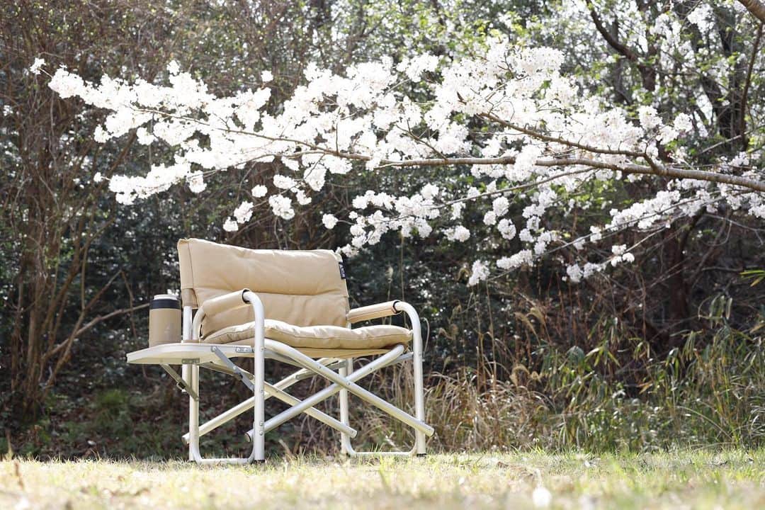 VASTLANDさんのインスタグラム写真 - (VASTLANDInstagram)「桜がとても綺麗に咲きはじめましたね🌸  サイドテーブル付きのディレクターズチェアでお花見してきました✨  暖かくなりこれからますますアウトドアが楽しめそうですね🏕️☀️  #VASTLAND #ヴァストランド #アウトドアファニチャー #チェア #テーブル #キャンプ #キャンプギア」3月24日 18時00分 - vastland.jp