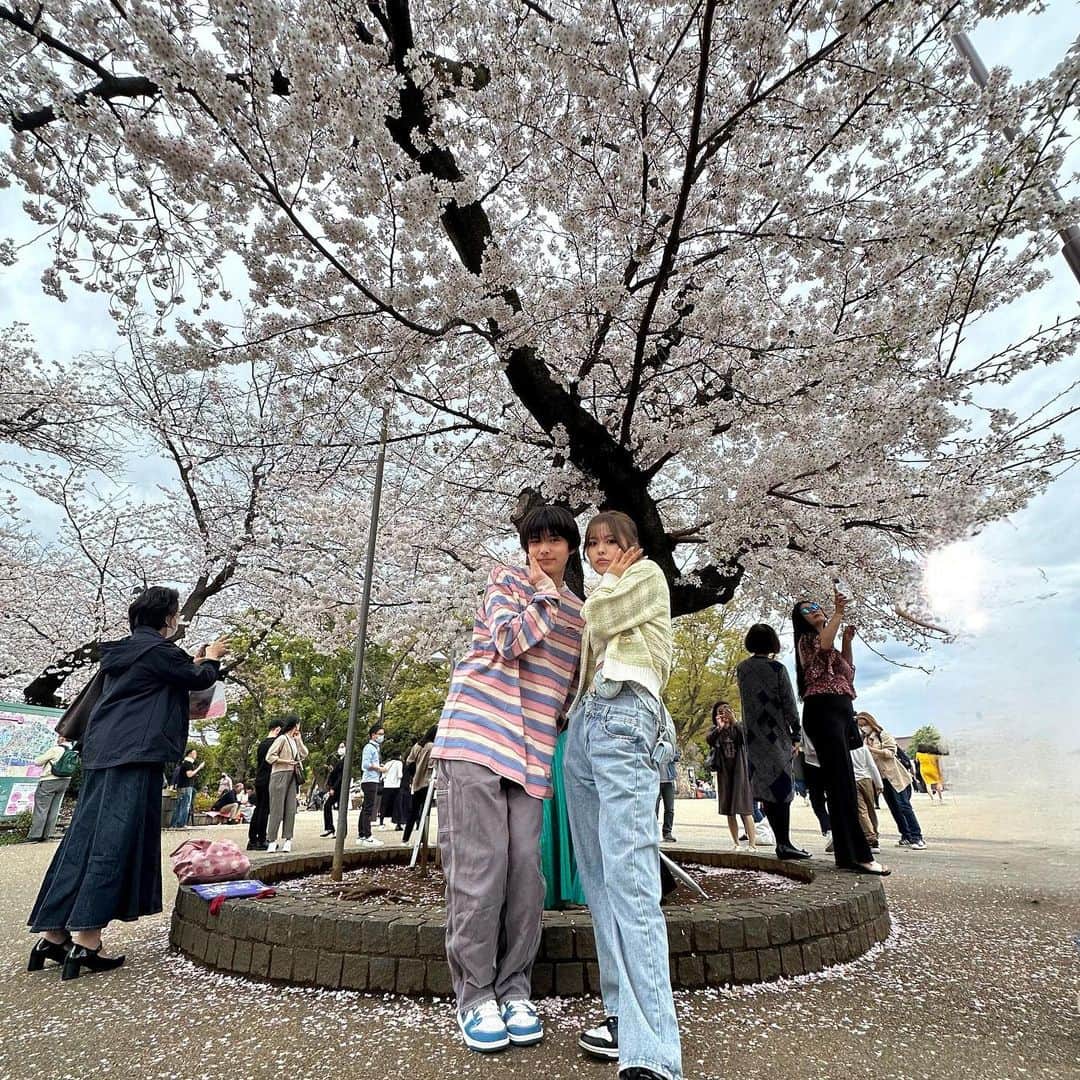 今井暖大さんのインスタグラム写真 - (今井暖大Instagram)「お花見〜🌸」3月24日 18時12分 - harutosroom