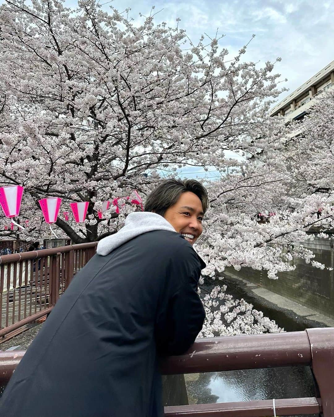 大志（DOWBL）さんのインスタグラム写真 - (大志（DOWBL）Instagram)「桜撮ってたら撮られた  #桜 #花見 #中目黒」3月24日 18時27分 - taishi.s.n